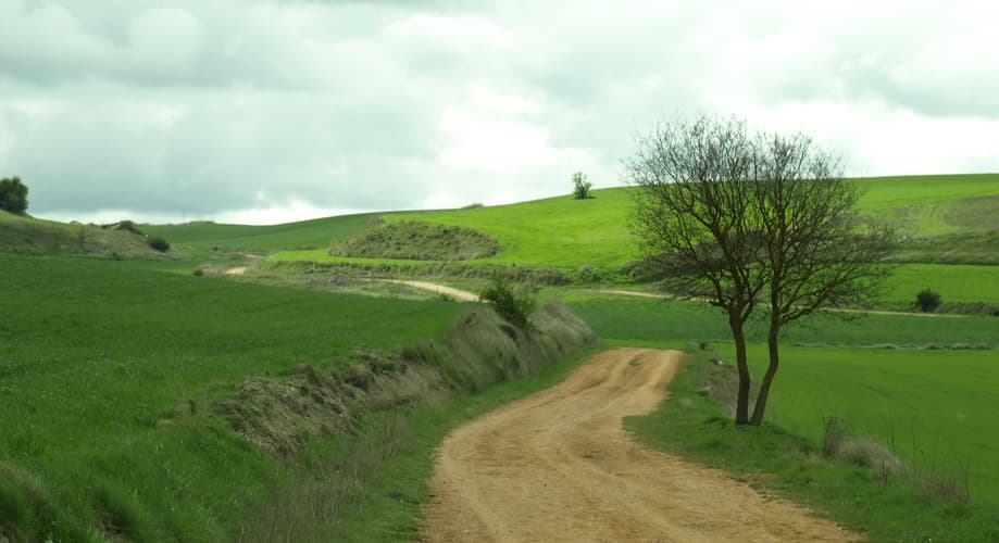 Imagen - Camino Santiago. Camino Portugués por el interior desde Tui autoguiado