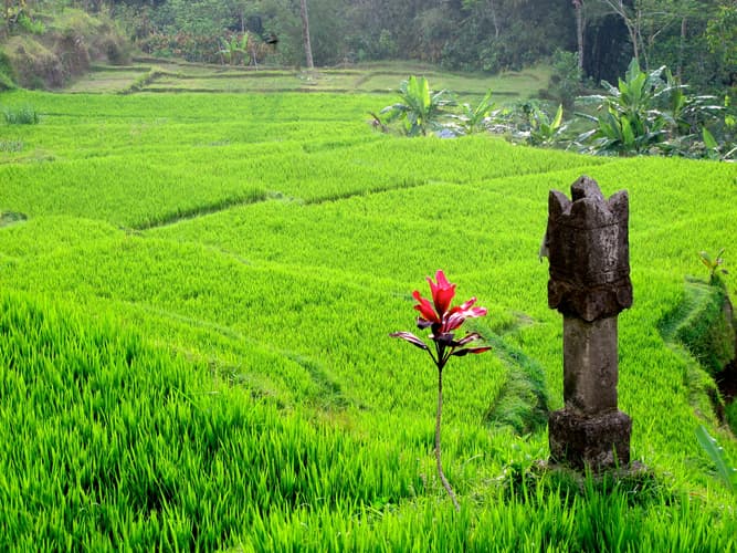 Image - Explora Bali en Privado