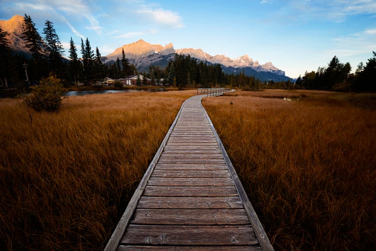 Imagen - Experiencia de las Montañas Rocosas en Calgary y Banff