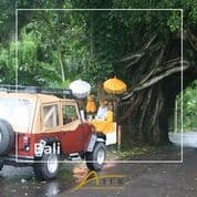 Image - Bali a tu aire, self drive