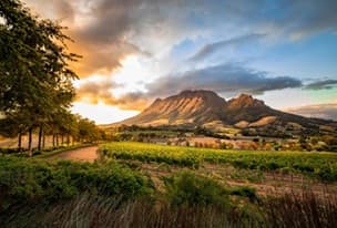Image - Ciudad del Cabo y Winelands