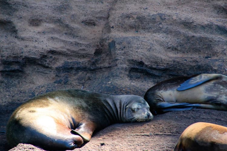 Image - Quito y Galápagos