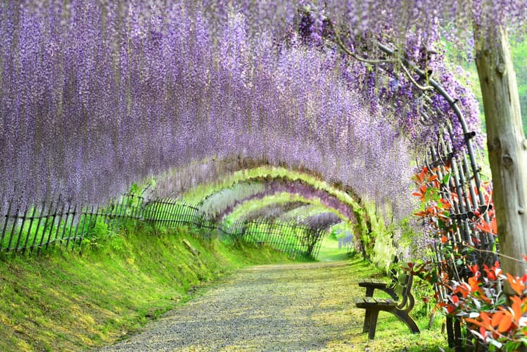 Imagen - Japón Colorido