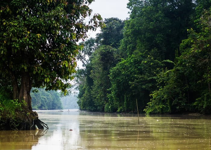 Image - Gran Tour De Borneo