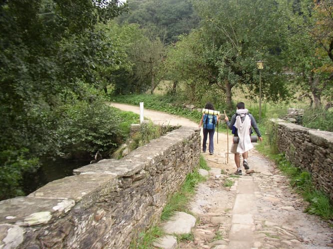 Imagen - Camino Santiago. Últimos 100 km Camino francés desde Sarria con etapa en Melide - autoguiado