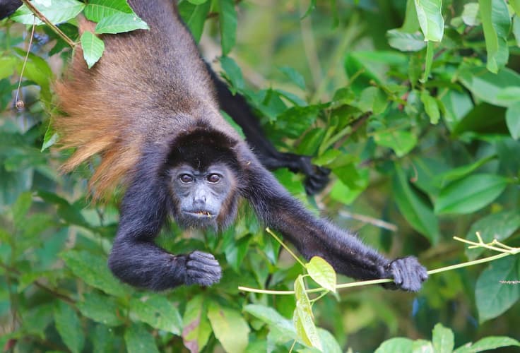 Imagen - Expedición Tropical - Self Drive (sin seguro)