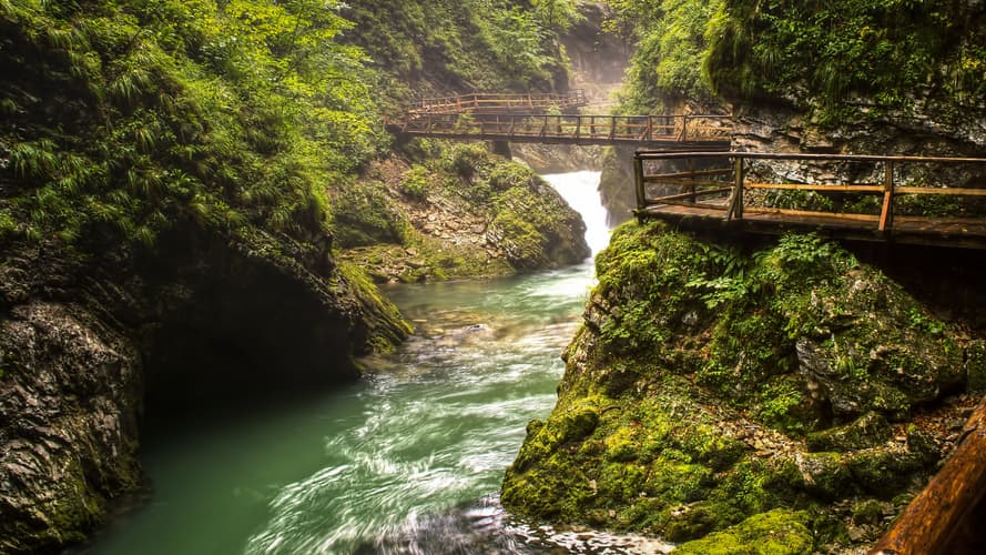 Image - Naturaleza Eslovena - GRUPOS REDUCIDOS