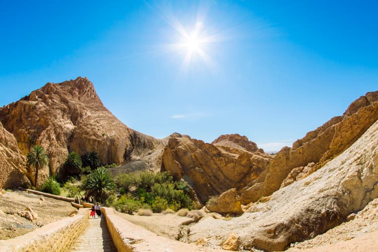 Imagen - TÚNEZ DESIERTO Y OASIS