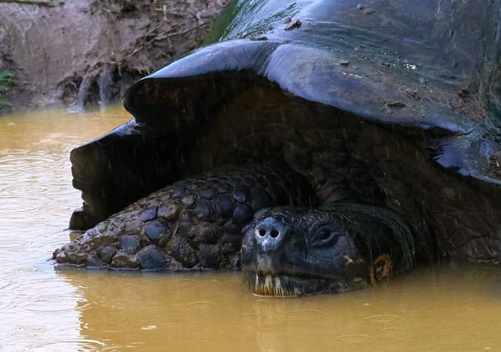 Image - Extension Inter-Islas Galapagos - San Cristóbal
