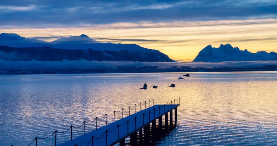 Image - Patagonia Imperdible - Puerto Natales