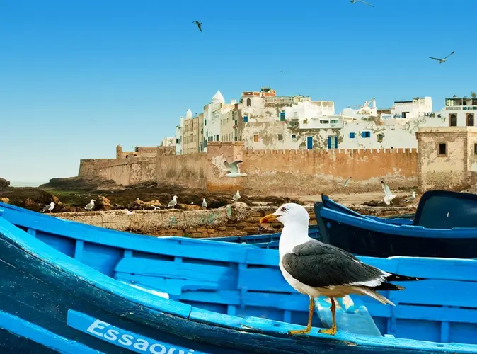 Bild - Alla scoperta del Marocco da Tangier