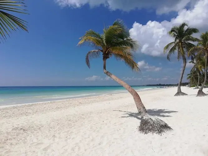 图像 - Yucatan e Mare