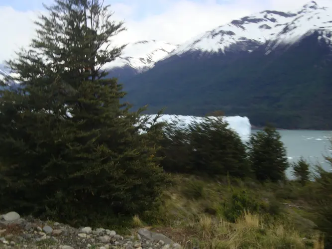 Slika - Argentina e Cile Classico