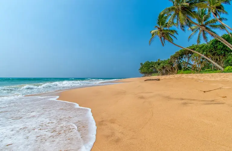 画像 - Nature’s Peaks to Paradise Shores - 04 Nights 05 Days Sri Lanka Tour Package