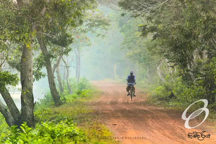 Kuva - SRI LANKA CULTURE TOUR
