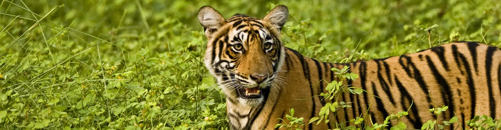 Image - Northern India Family Holiday Comfort