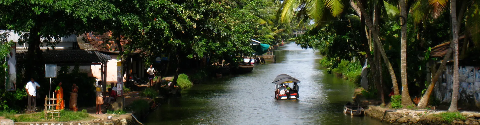 Imagem - Premium South India