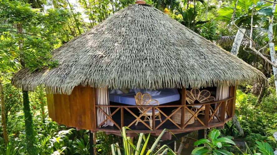 图像 - Escapada atípica en pareja, entre inmersión y evasión tropical