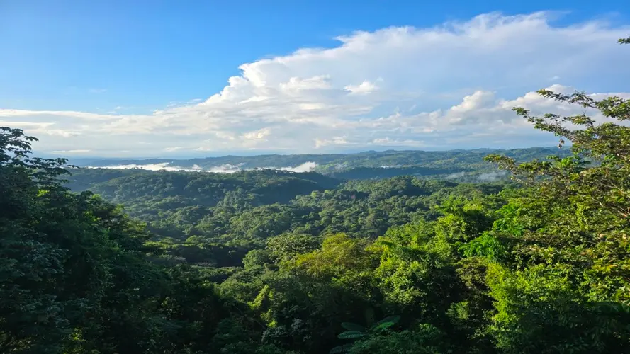 Imagem - Évasion au cœur des terres secrètes du Costa Rica
