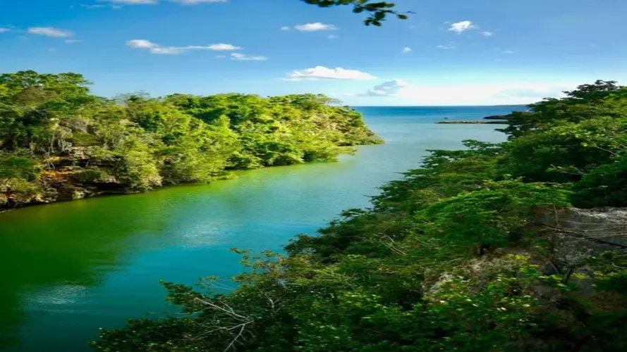 Bild - Classique République Dominicaine en tout inclus