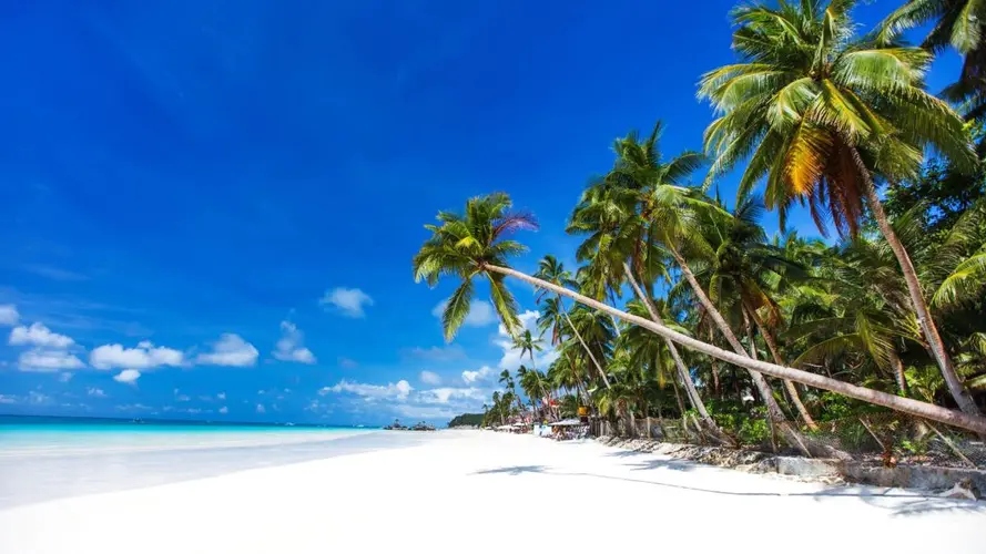 تصویر - Les Merveilles de Palawan (4* / 5*) $