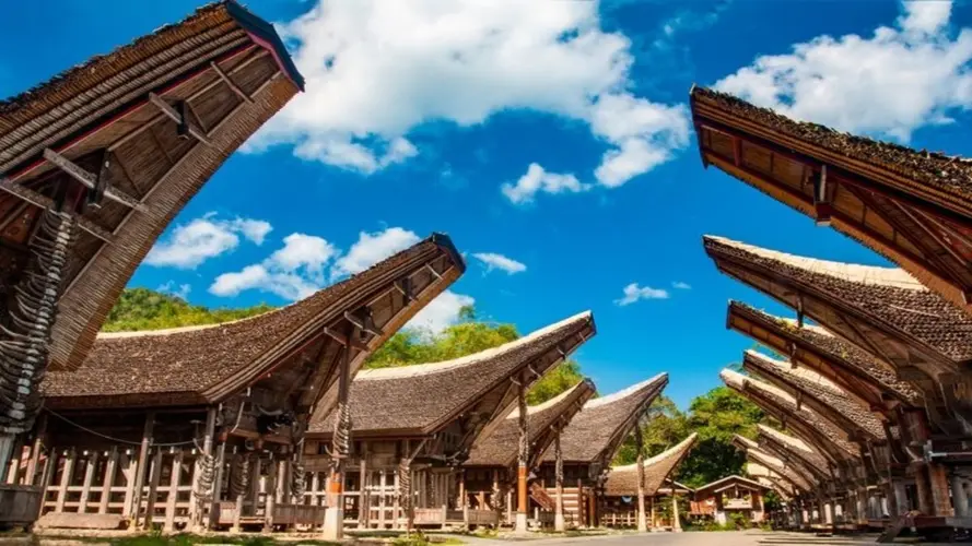 Immagine - Les incontournables de Sulawesi