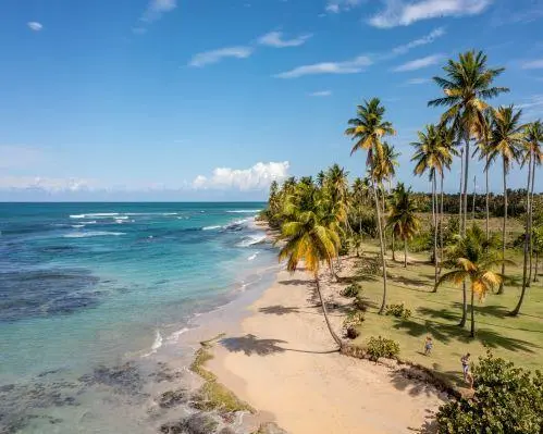 4 Miches / 4 Punta Cana - Noviembre y Diciembre