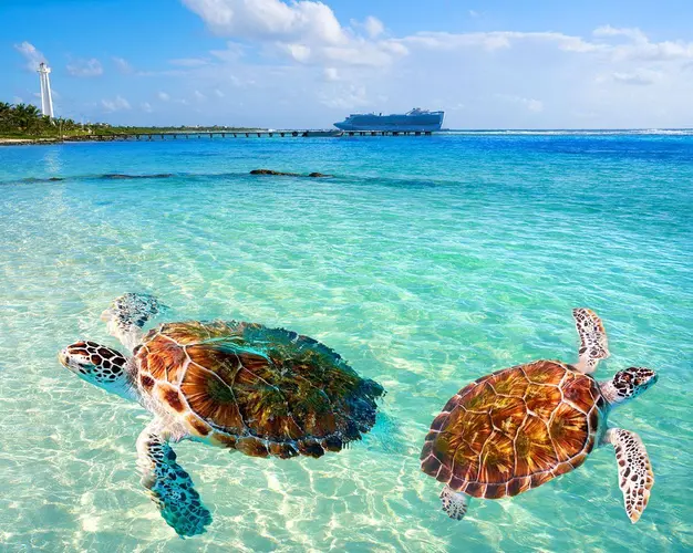 Cancún & Jamaica