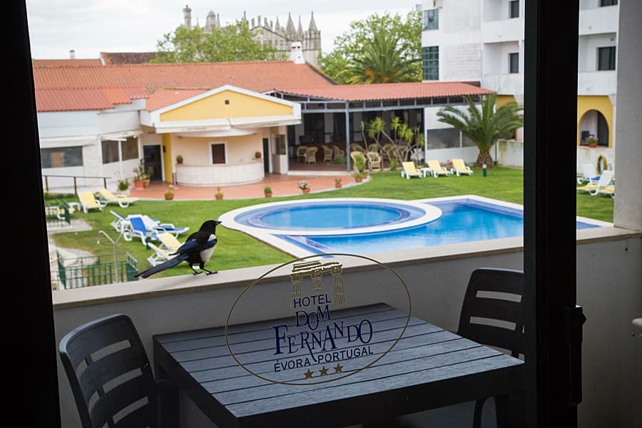 HOTEL DOM FERNANDO