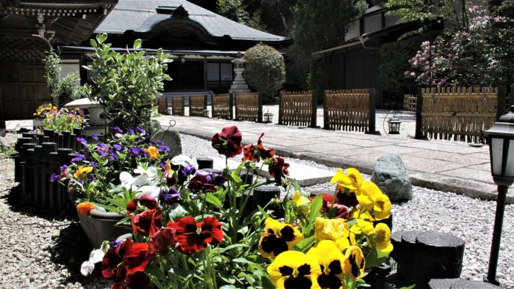 Saimonin Hotel