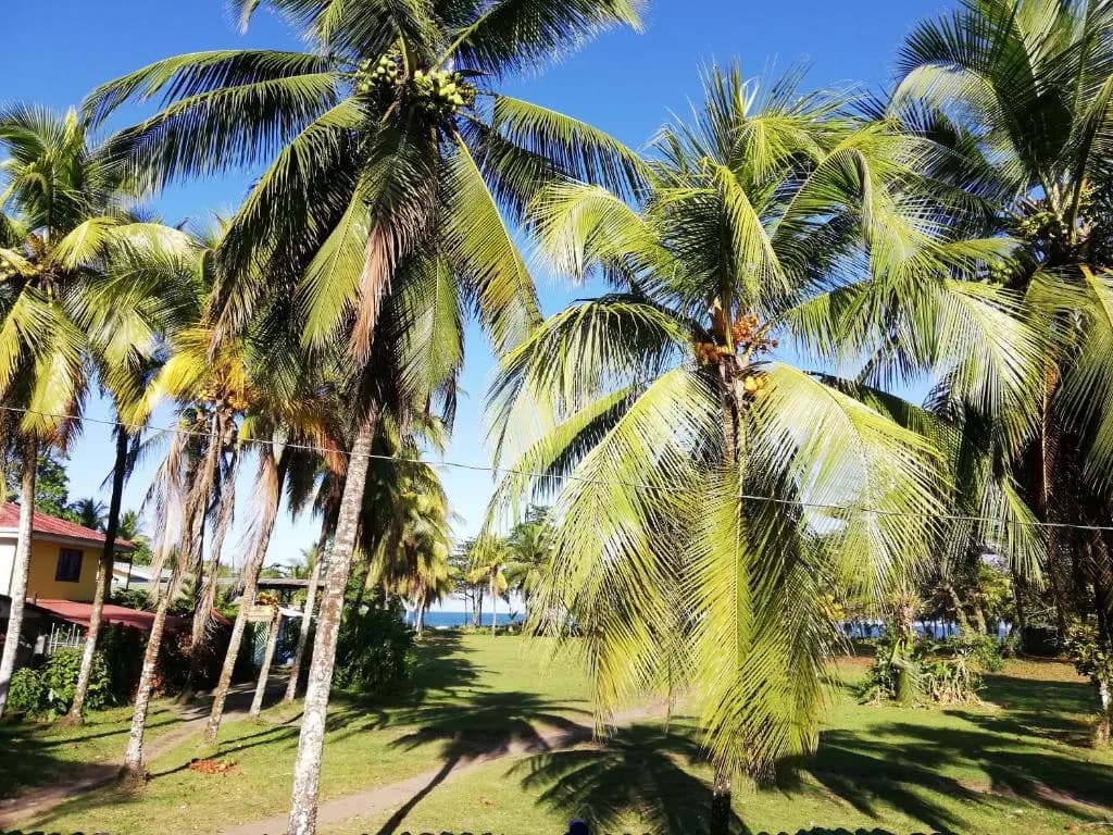 Hospedaje Meryscar