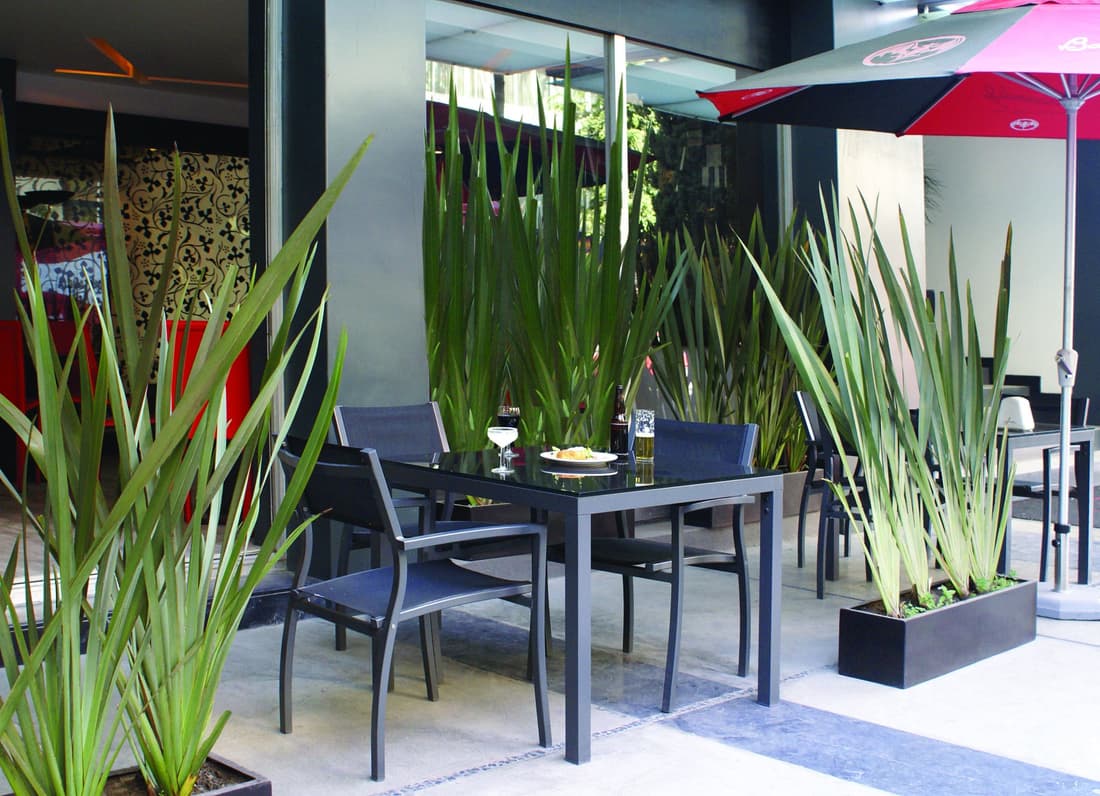 Regente Hotel