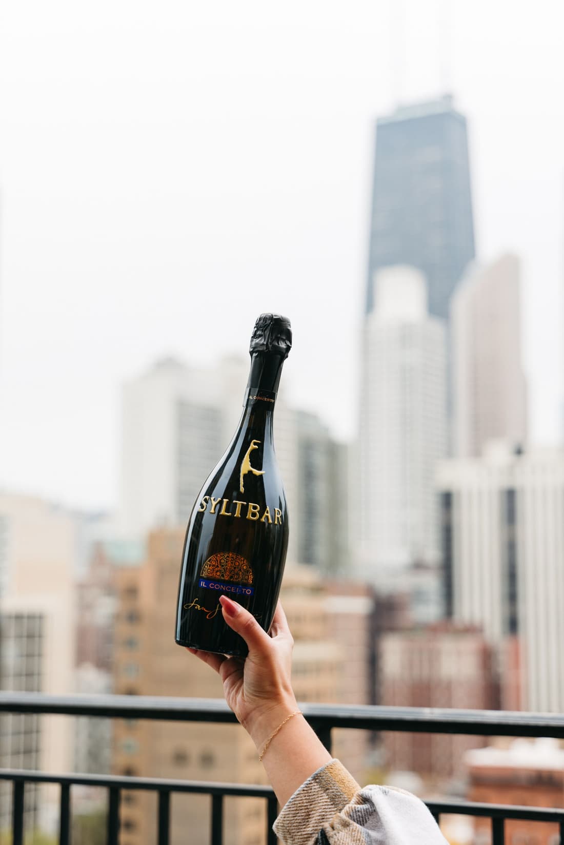 The Chicago Hotel Collection Ambassador Gold Coast