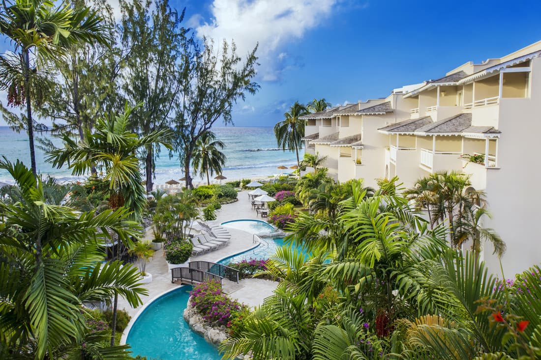 Bougainvillea Barbados