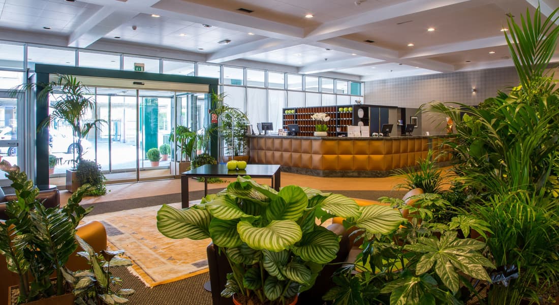 Hotel Blaise & Francis
