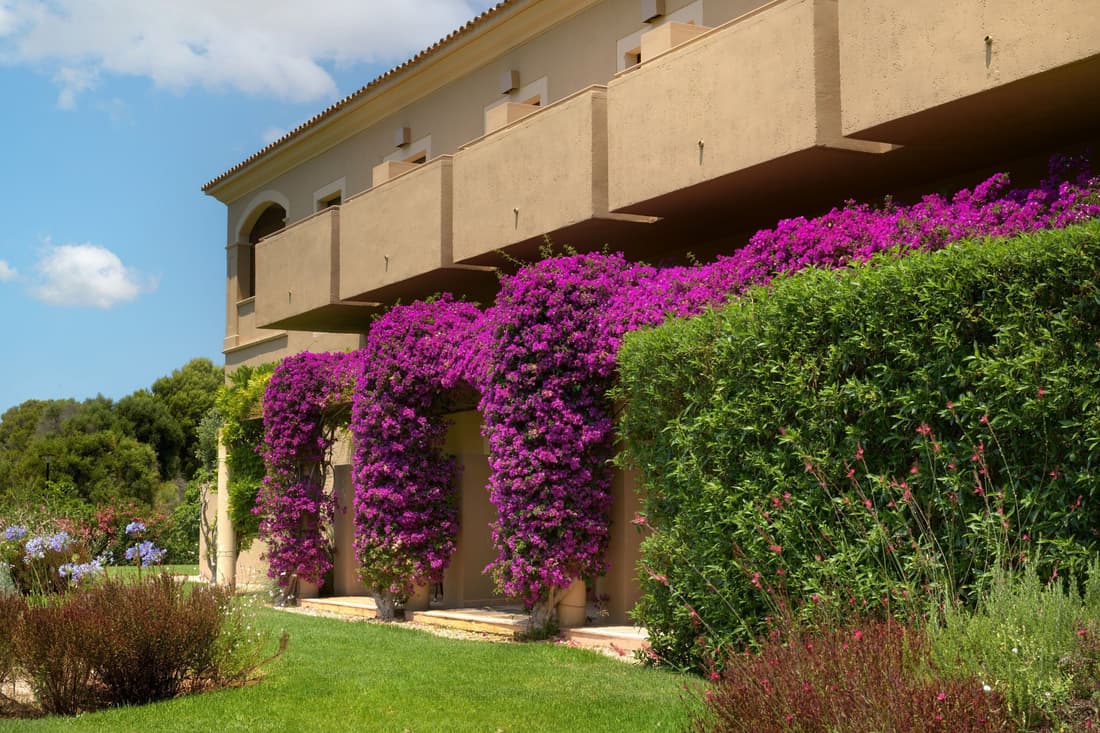 Hacienda Son Antem Golf Resort, Autograph Collection