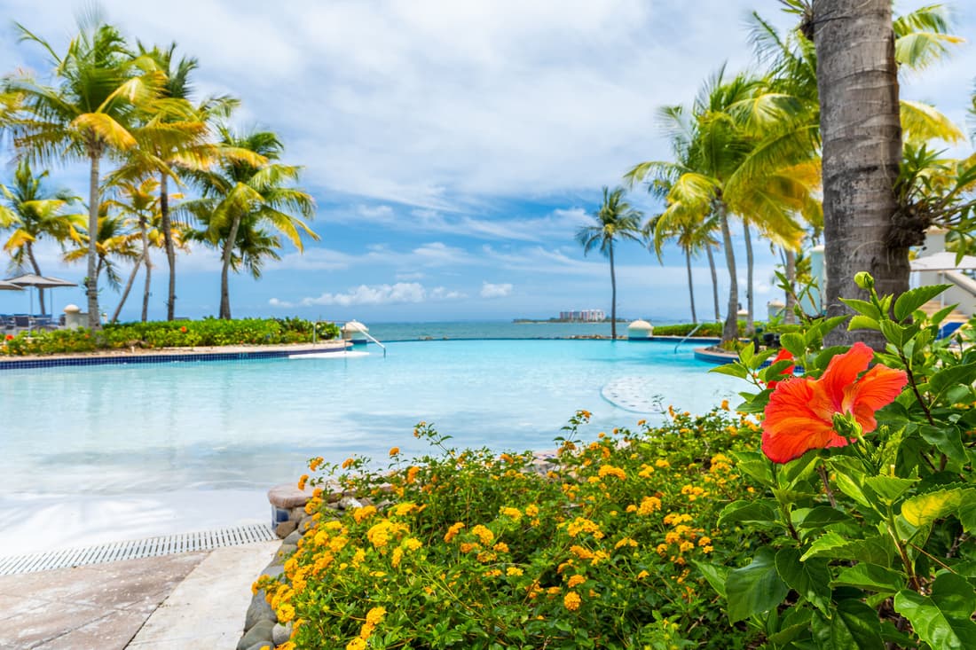 El Conquistador Resort