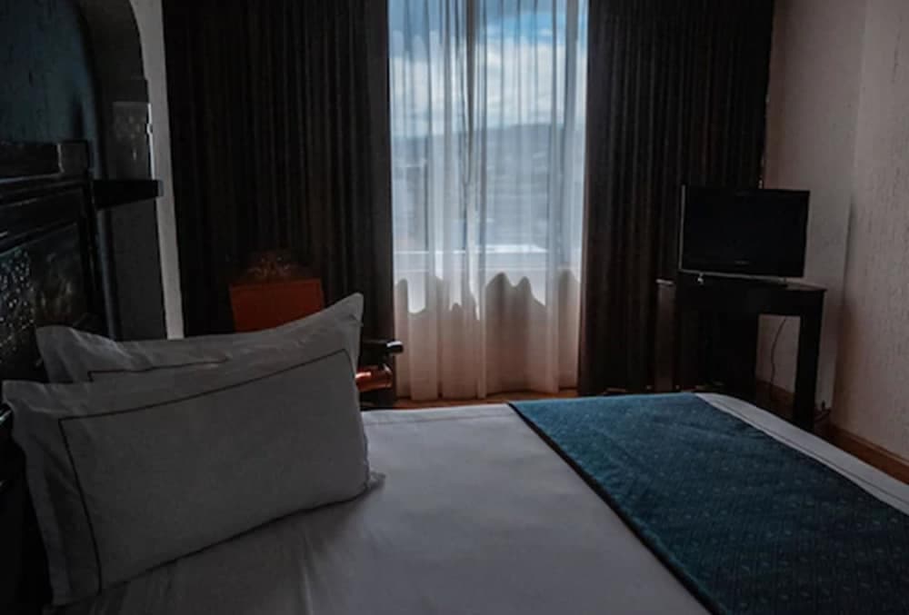 Hotel Fenix