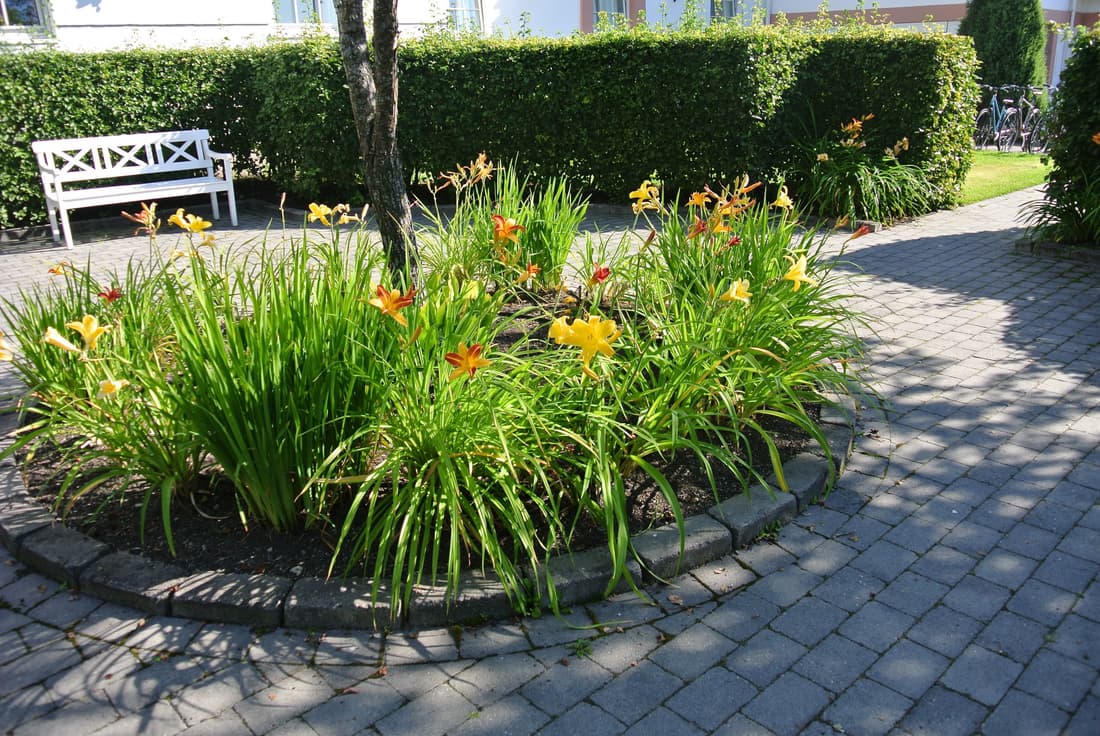 Quality Hotel Olavsgaard