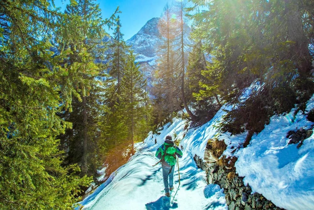 Principe Marmolada