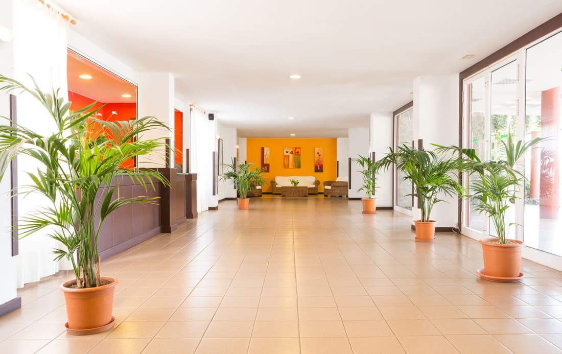 Apartamentos Centro Cancajos