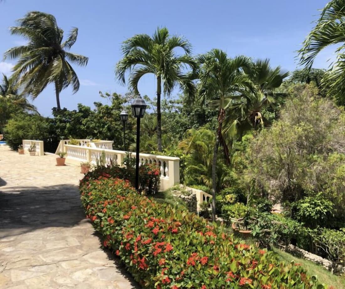 Caribe Campo