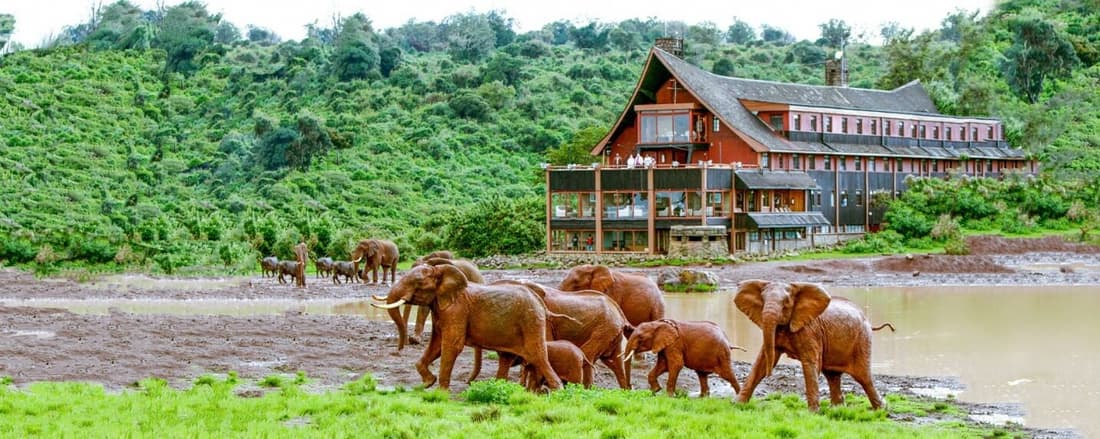 The Ark Lodge