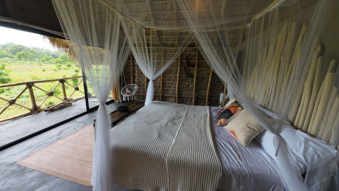 Dominican Jungle Resort
