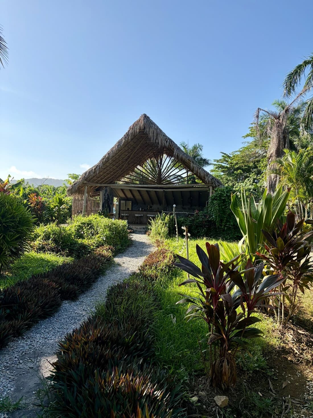 Dominican Jungle Resort