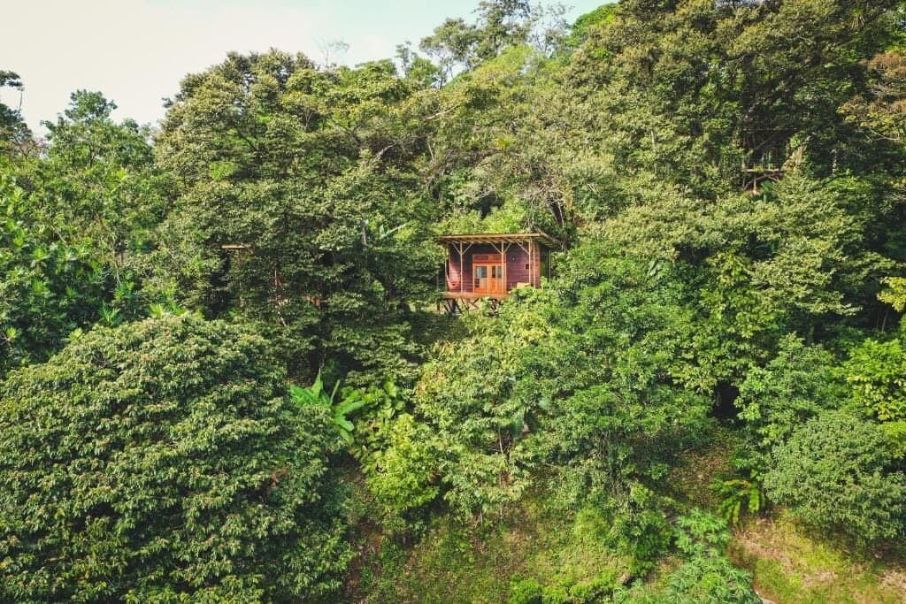 ataraxia bocas del toro