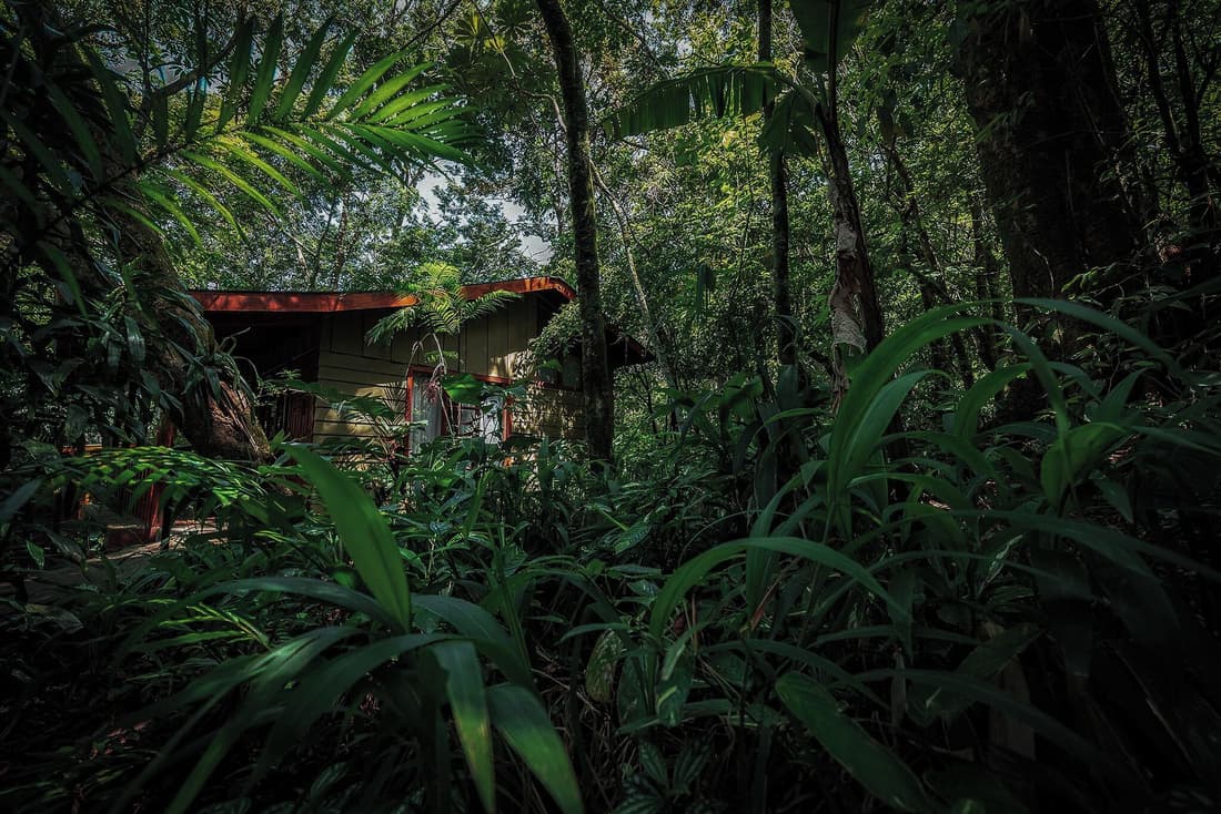 Jaguarundi Lodge