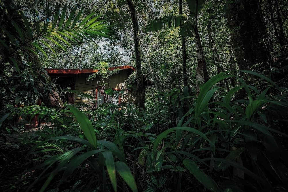 Jaguarundi Lodge
