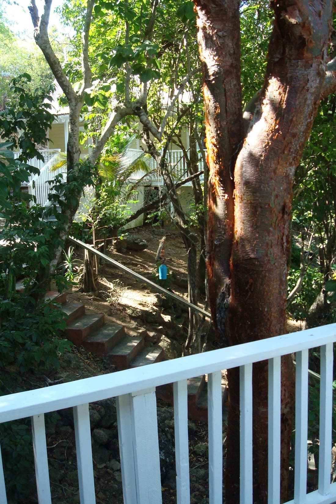 Galley Bay Cottages
