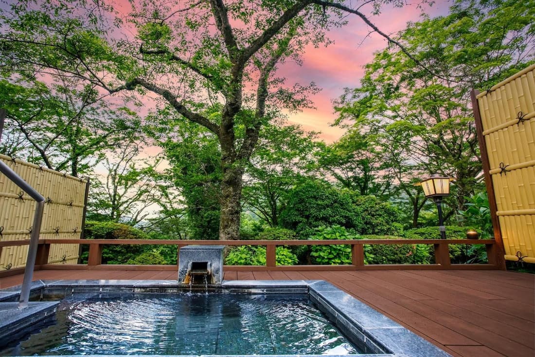 Hakone Kowakien Mikawaya Ryokan